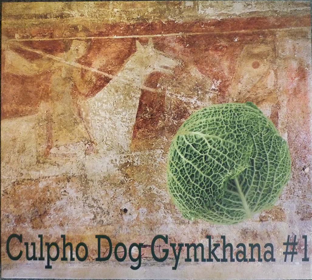 Culpho Dog Gymkhana #1